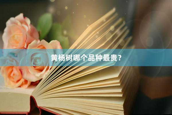 黄杨树哪个品种最贵？