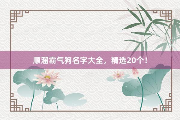 顺溜霸气狗名字大全,精选20个!