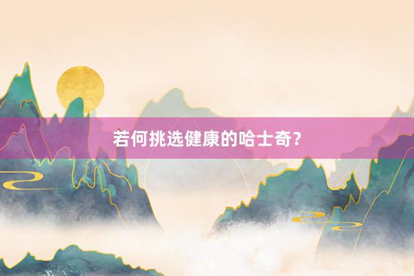 若何挑选健康的哈士奇？